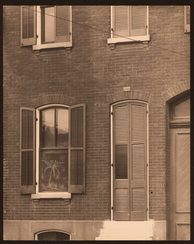 Fancy Rolle Shades by William G. Swekosky